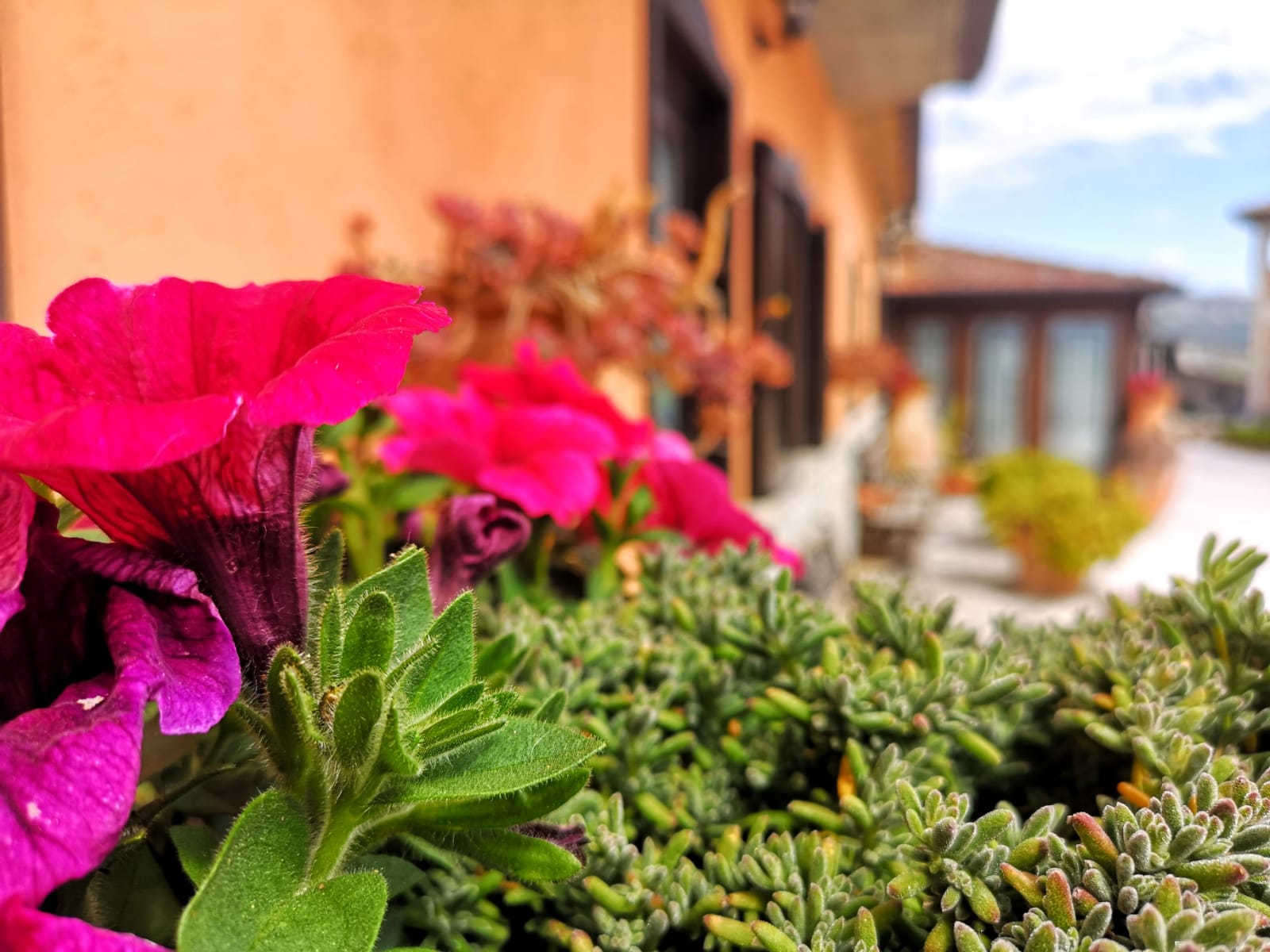 Agriturismo Collina di Roseto foto 3