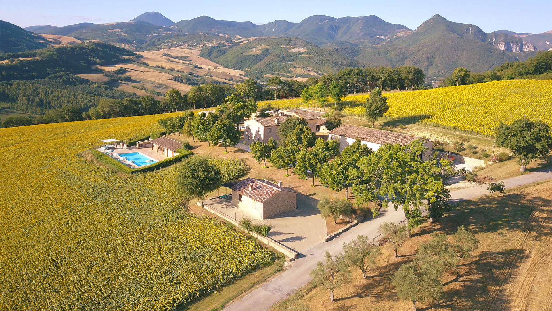 Agriturismo Le Querce foto 3