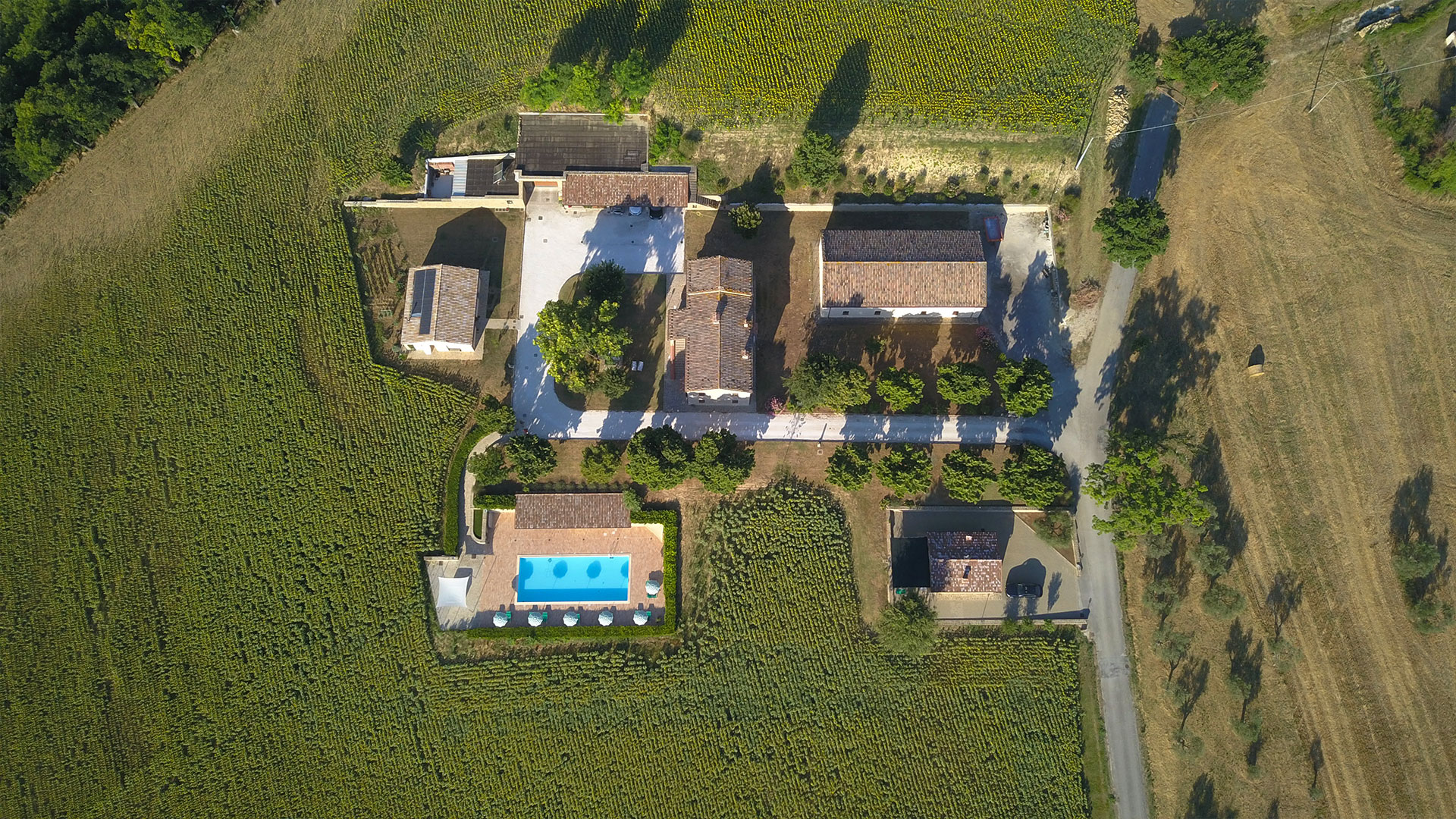Agriturismo Le Querce foto 4