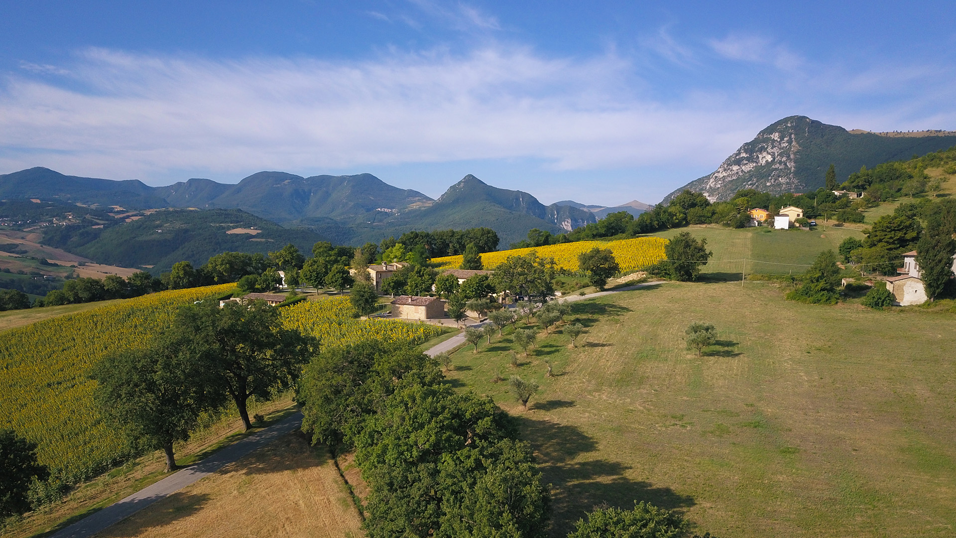 Agriturismo Le Querce foto 5