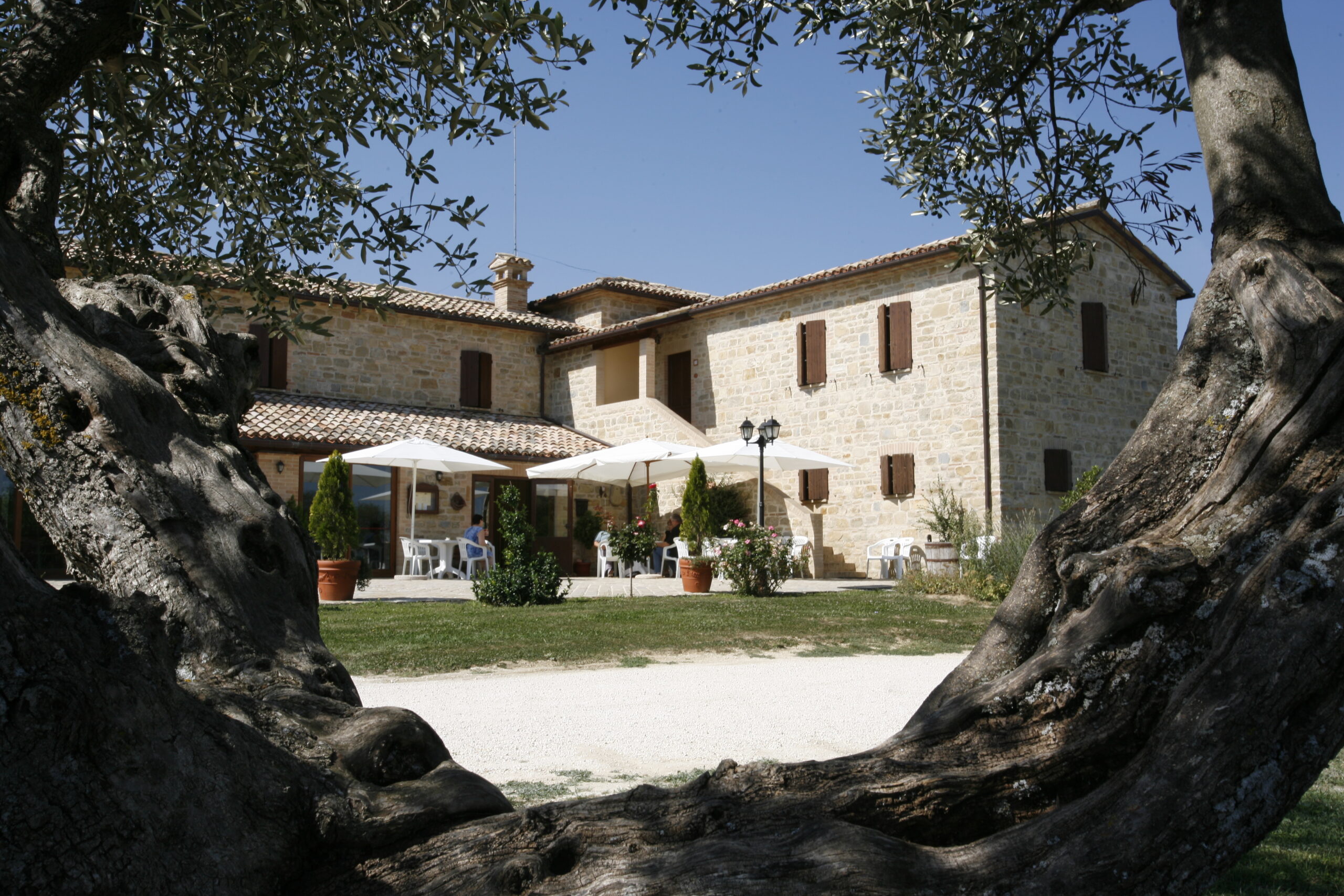 Agriturismo Casale Fabrizi foto 2