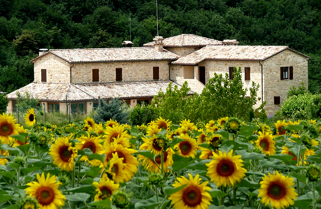 Agriturismo Casale Fabrizi foto 4