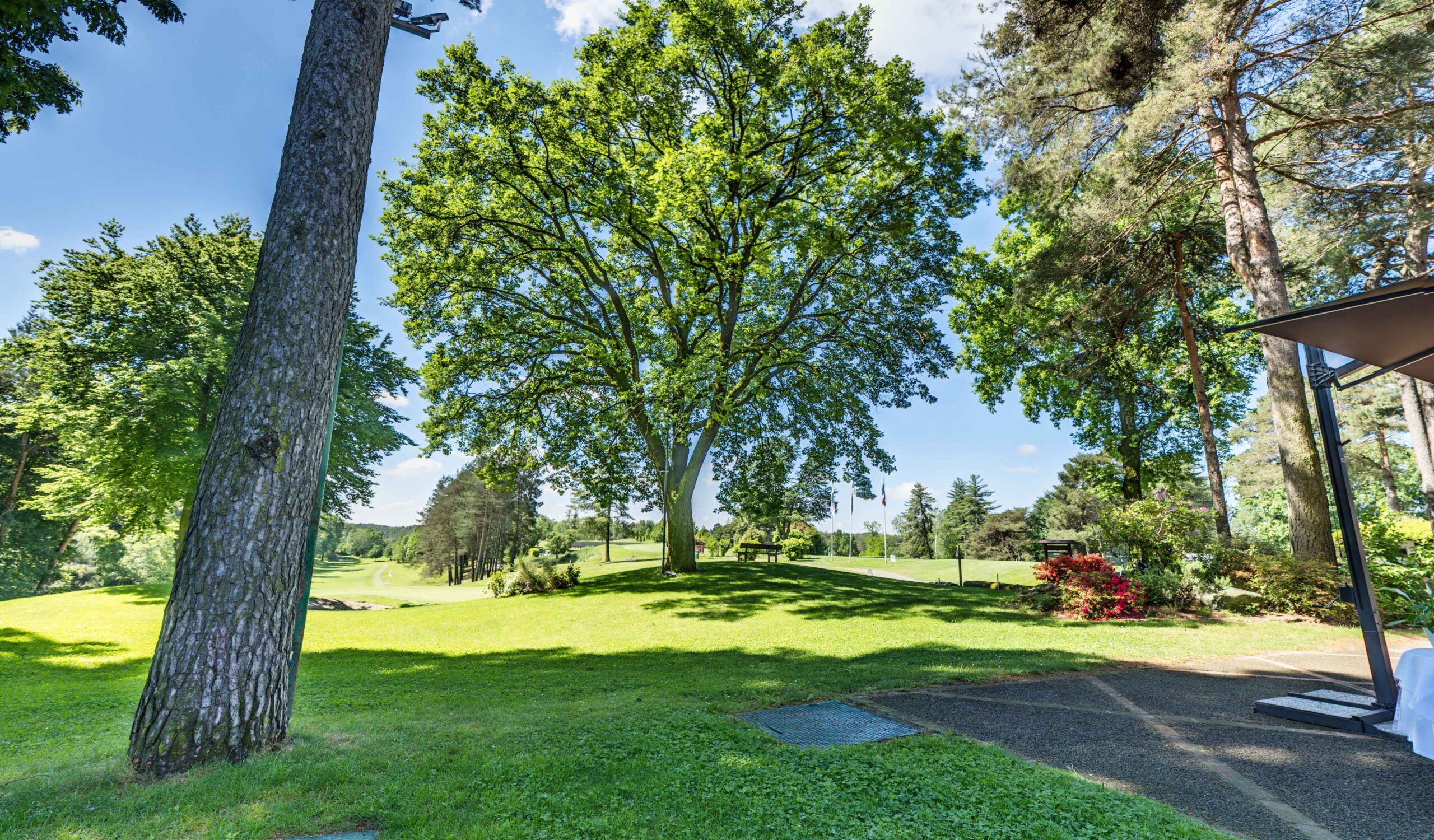 La Pinetina Golf Club foto 4