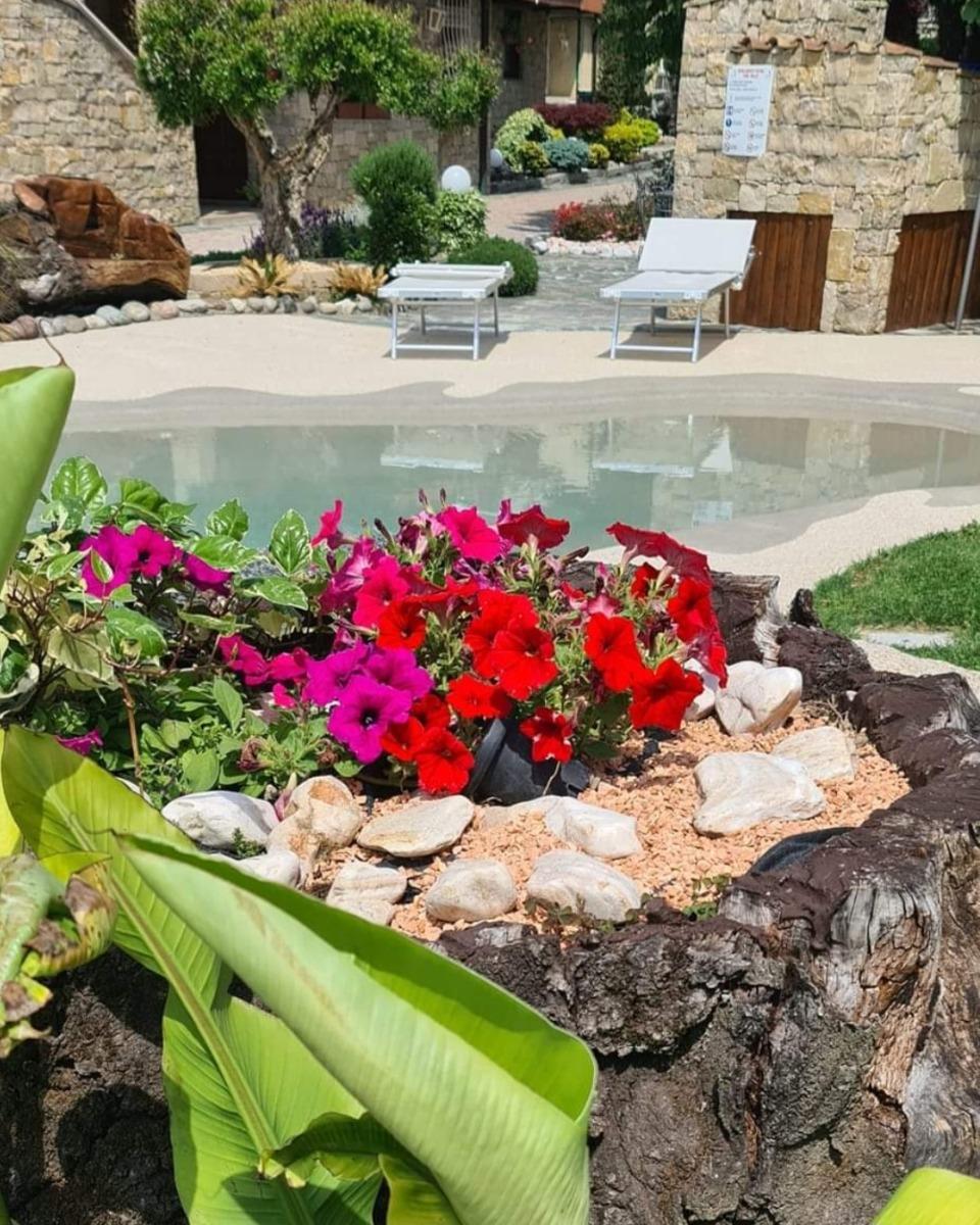 B&B Le Palme foto 2