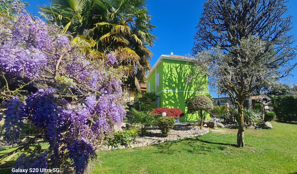 B&B Le Palme foto 5