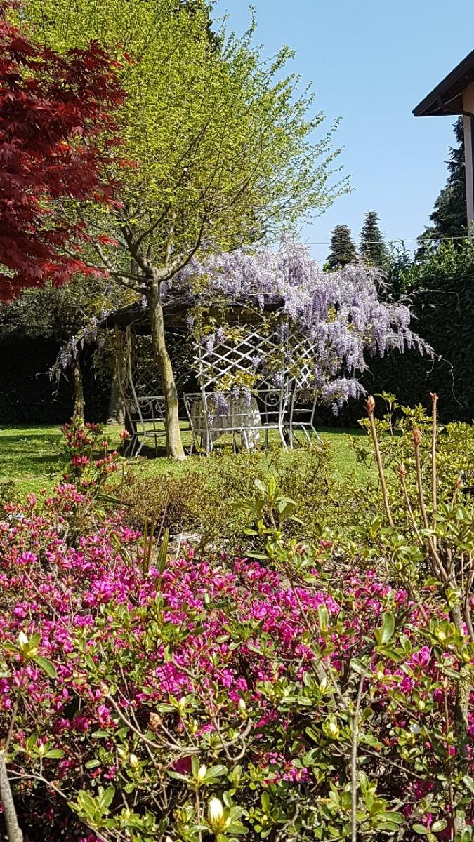 B&B Le Palme foto 6
