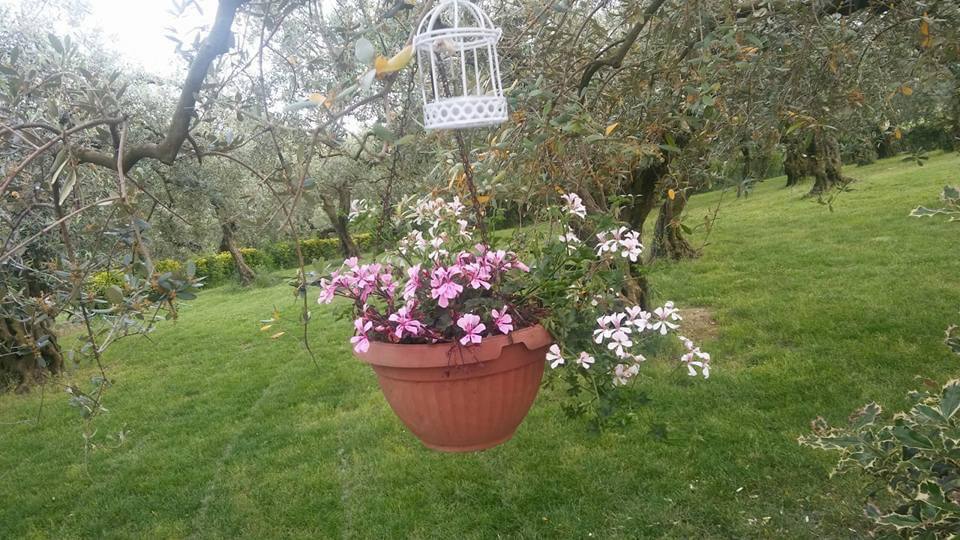 Agriturismo Piana del Mondo foto 4