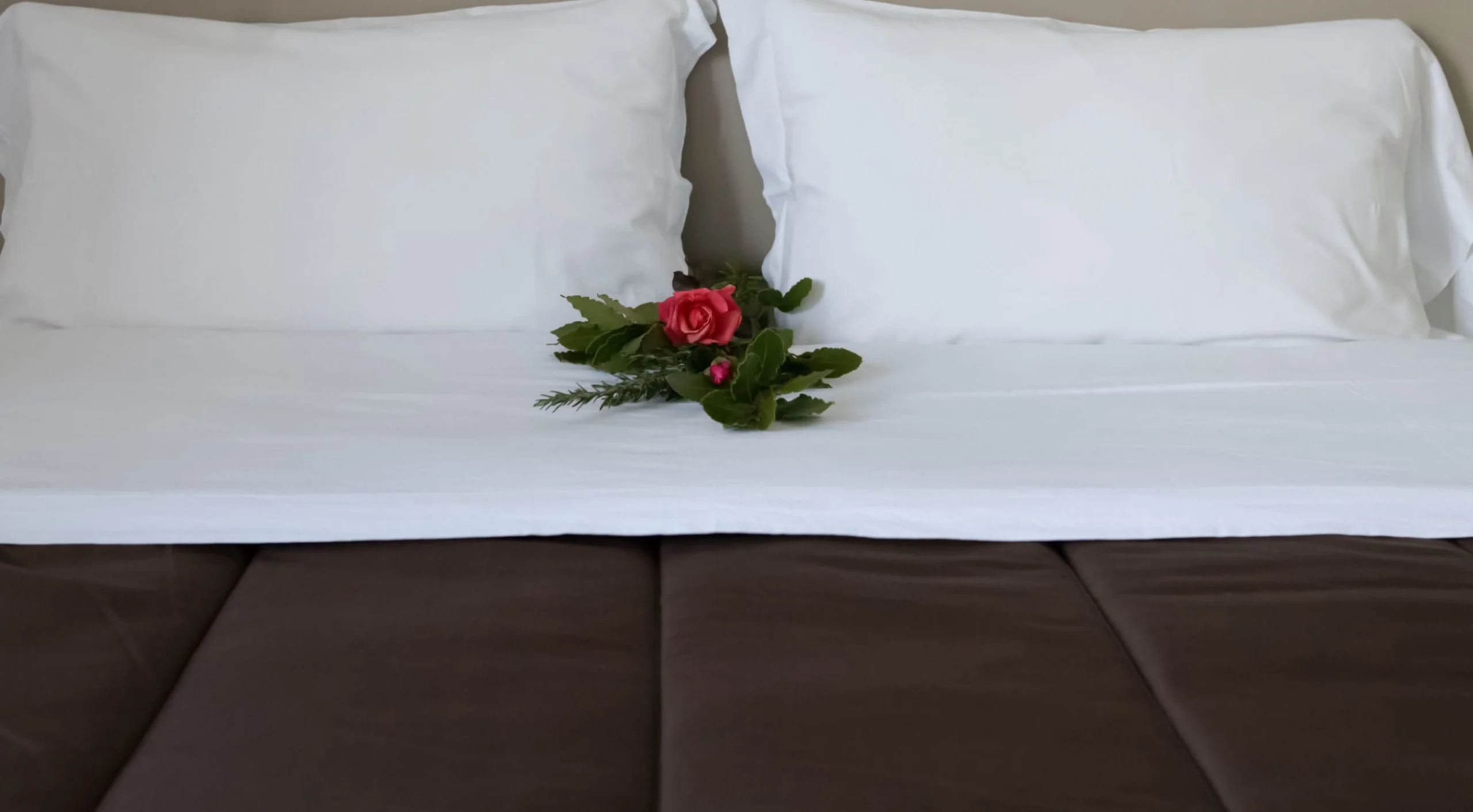 Bed and Breakfast Villa Alba foto 4