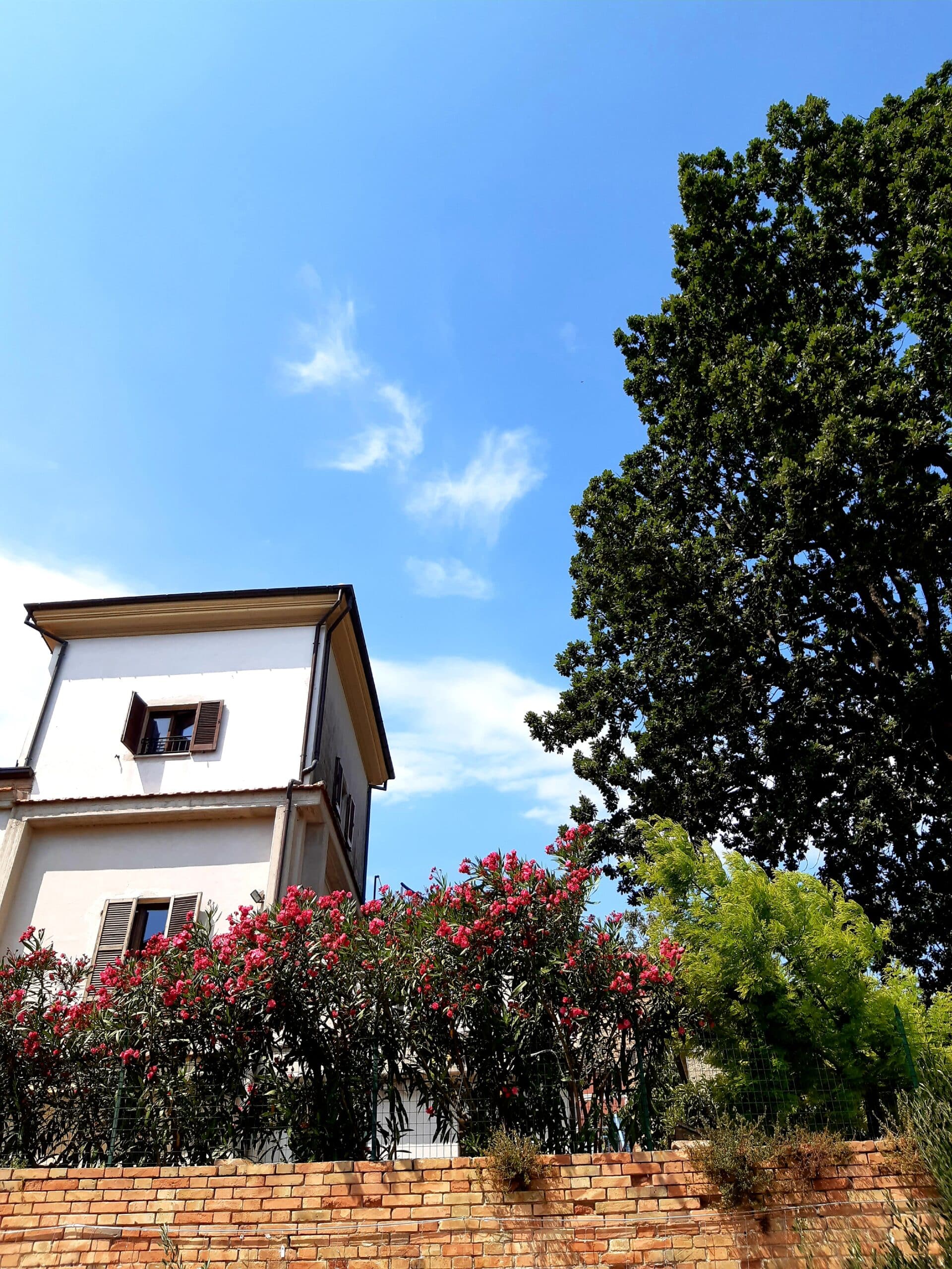 La Quercia Suites - Esclusivo Monolocale foto 1