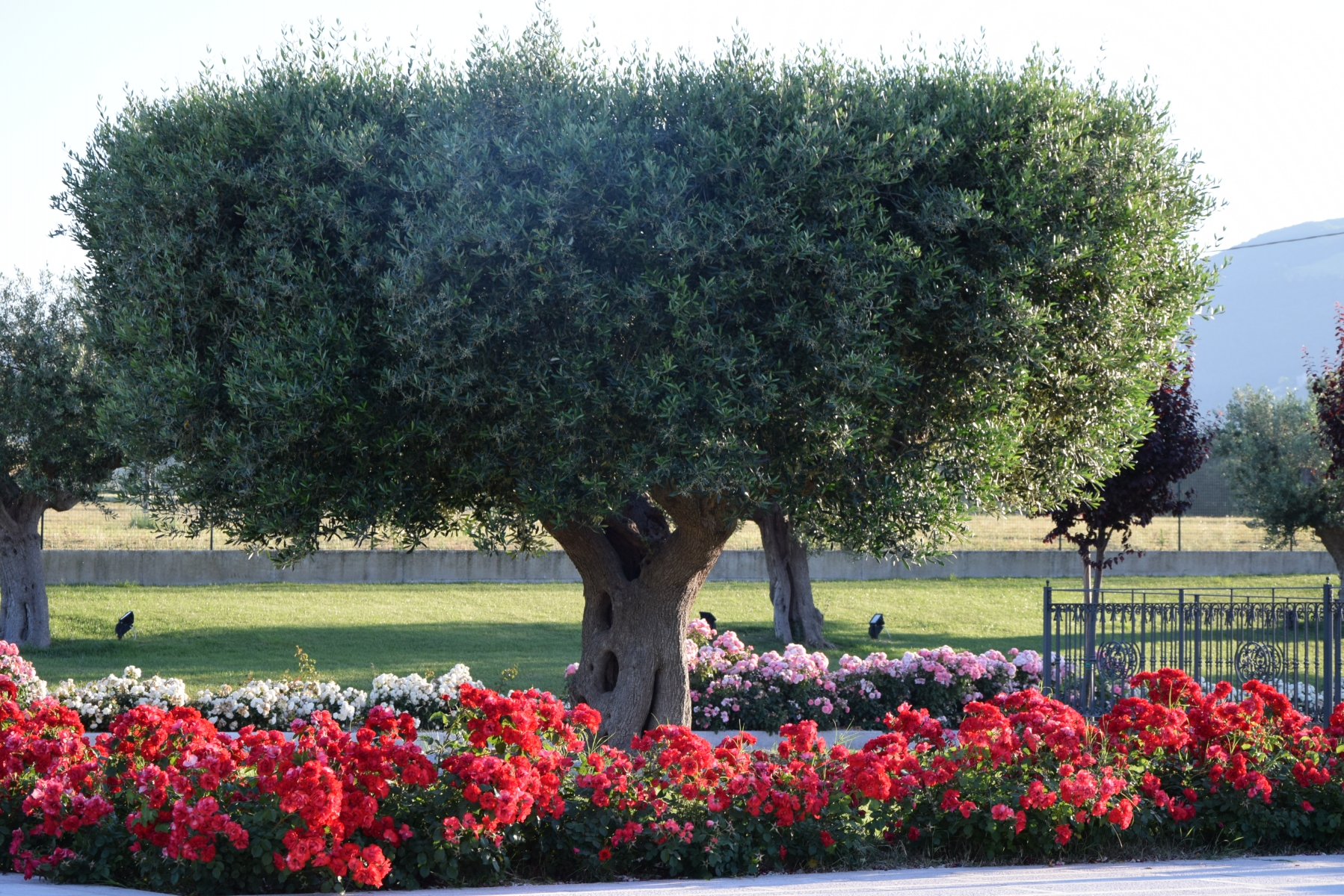 Postiglione Country House foto 2