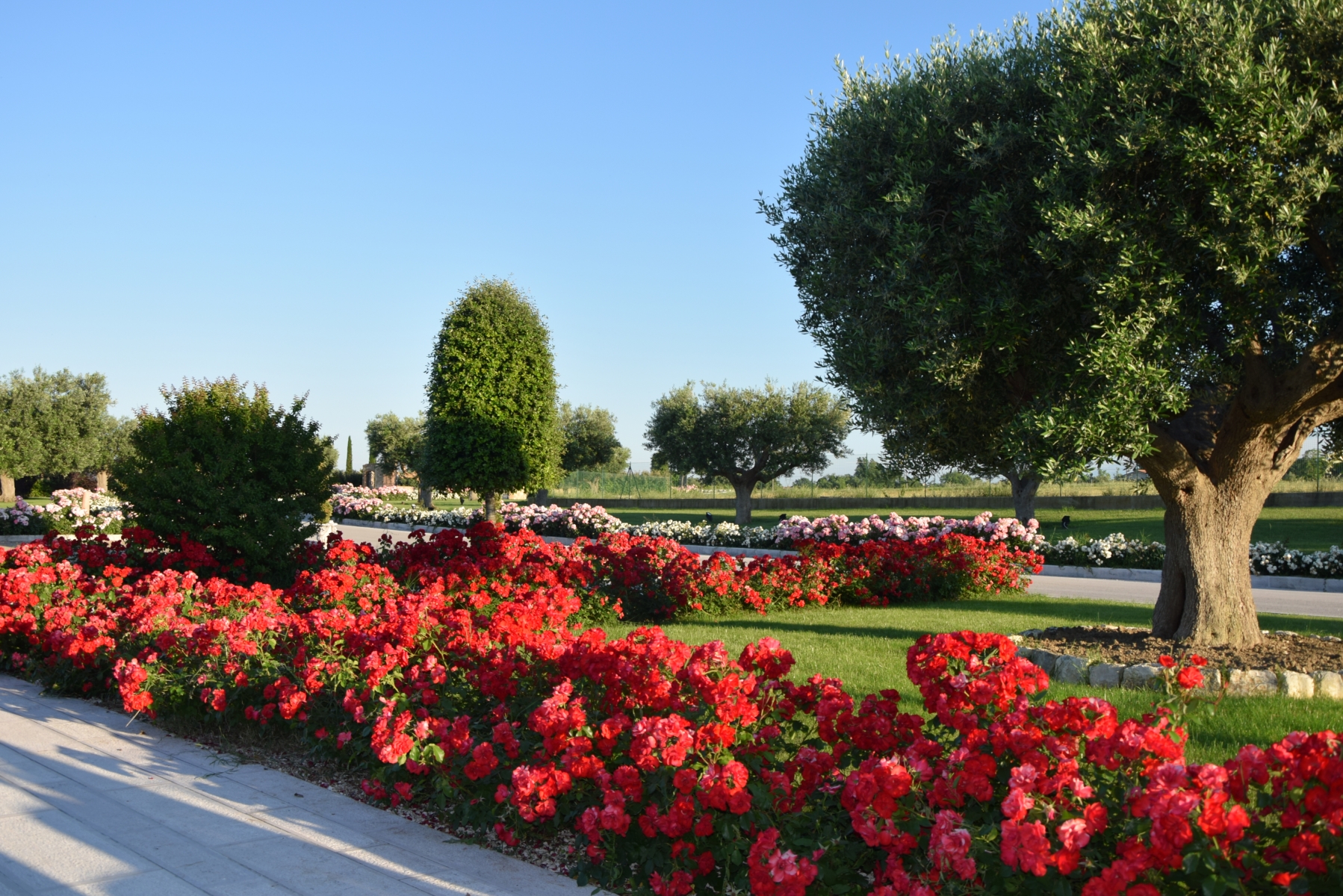 Postiglione Country House foto 5