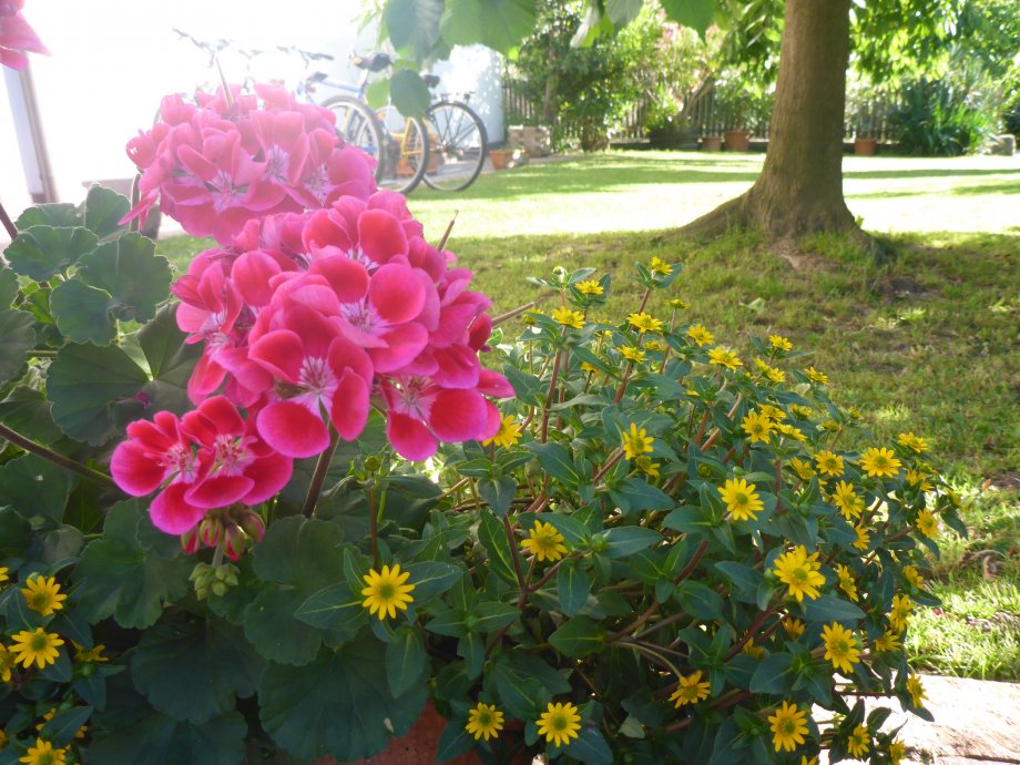 Straß-Hof foto 3