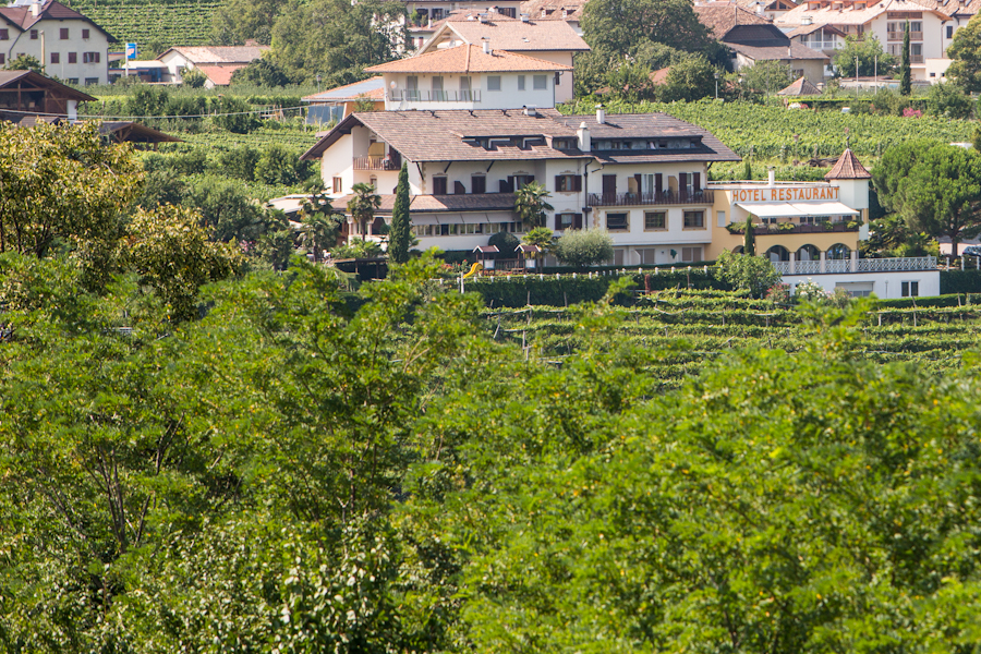 Hotel Weinberg foto 5