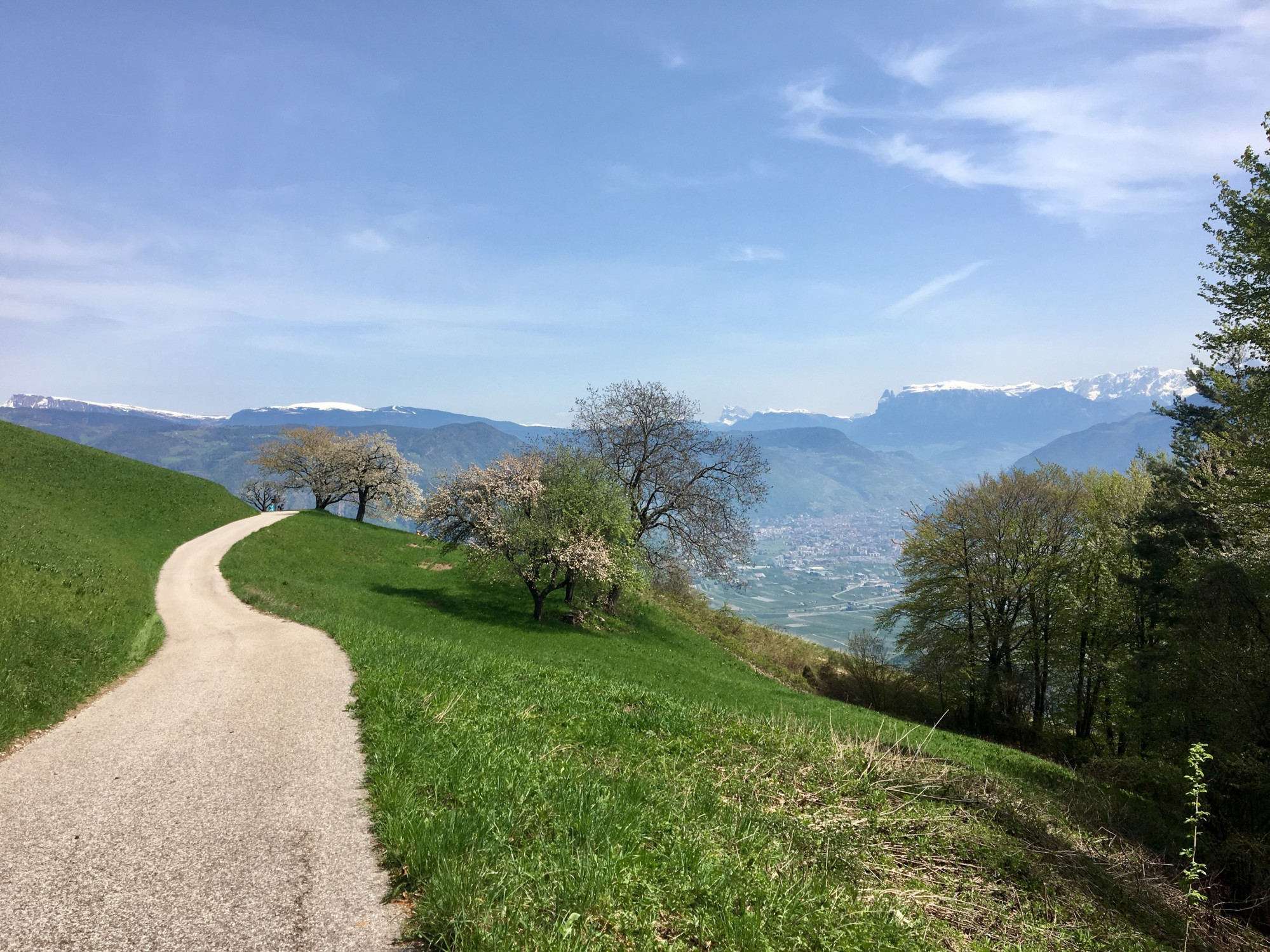 Schloss-Hof foto 1