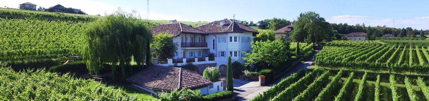 Weinhof Mumelter - foto 3