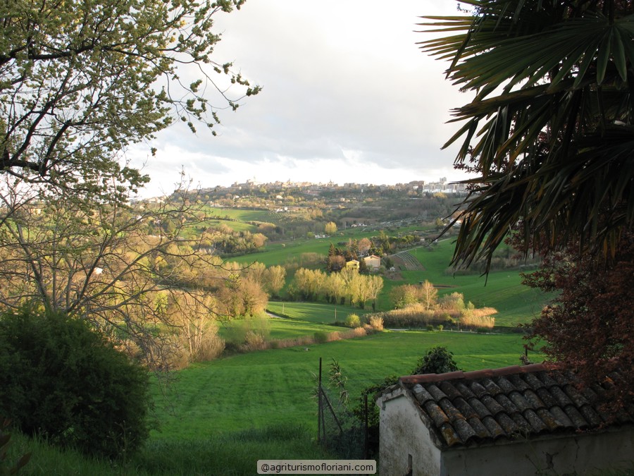 Agriturismo Floriani foto 6