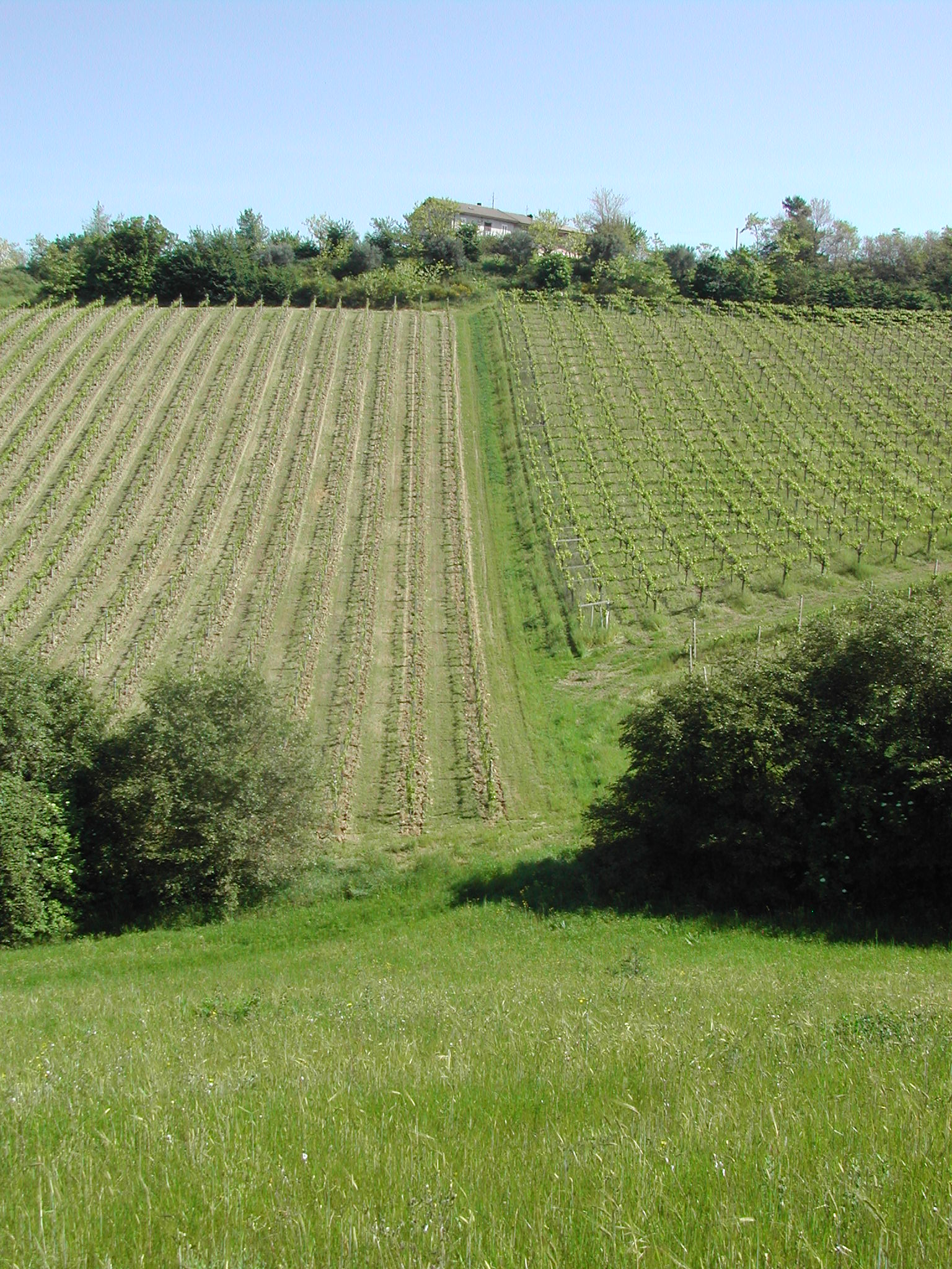 Agriturismo Casa Rosa foto 3