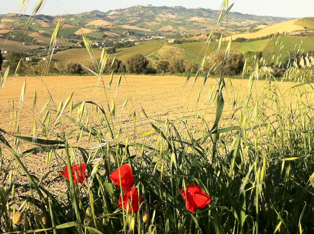 Agriturismo Casa Rosa foto 5