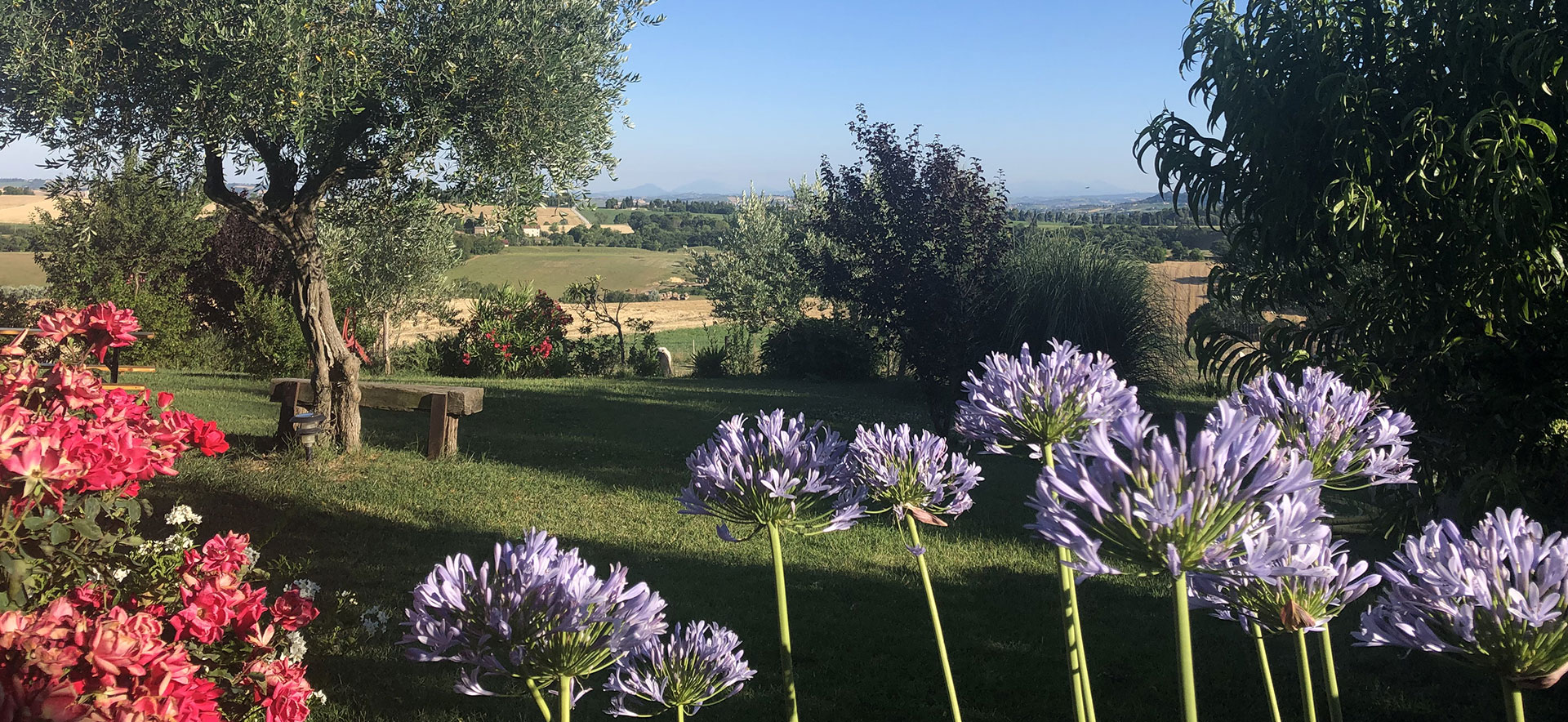 AGRITURISMO IL CONFINE - Treia - Marche foto 3