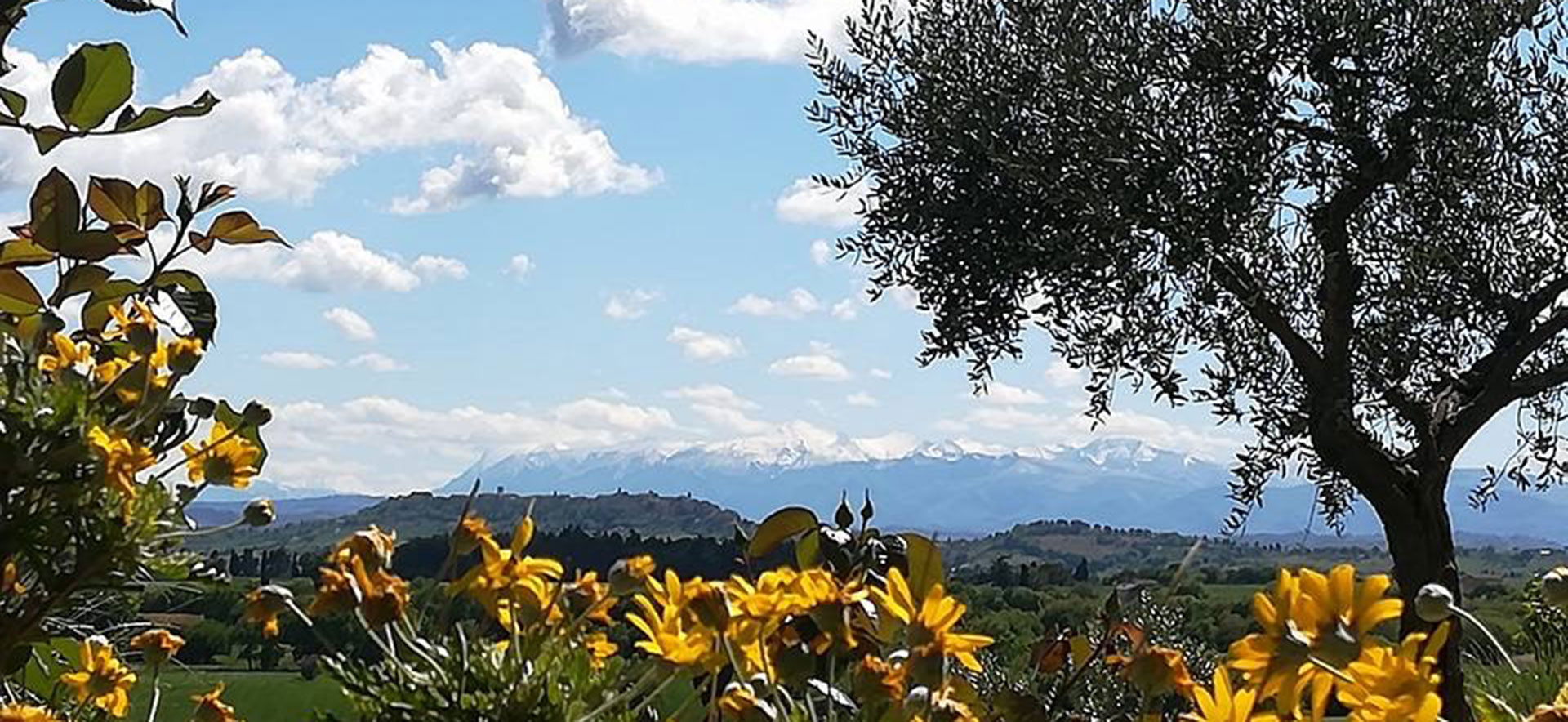 AGRITURISMO IL CONFINE - Treia - Marche foto 5