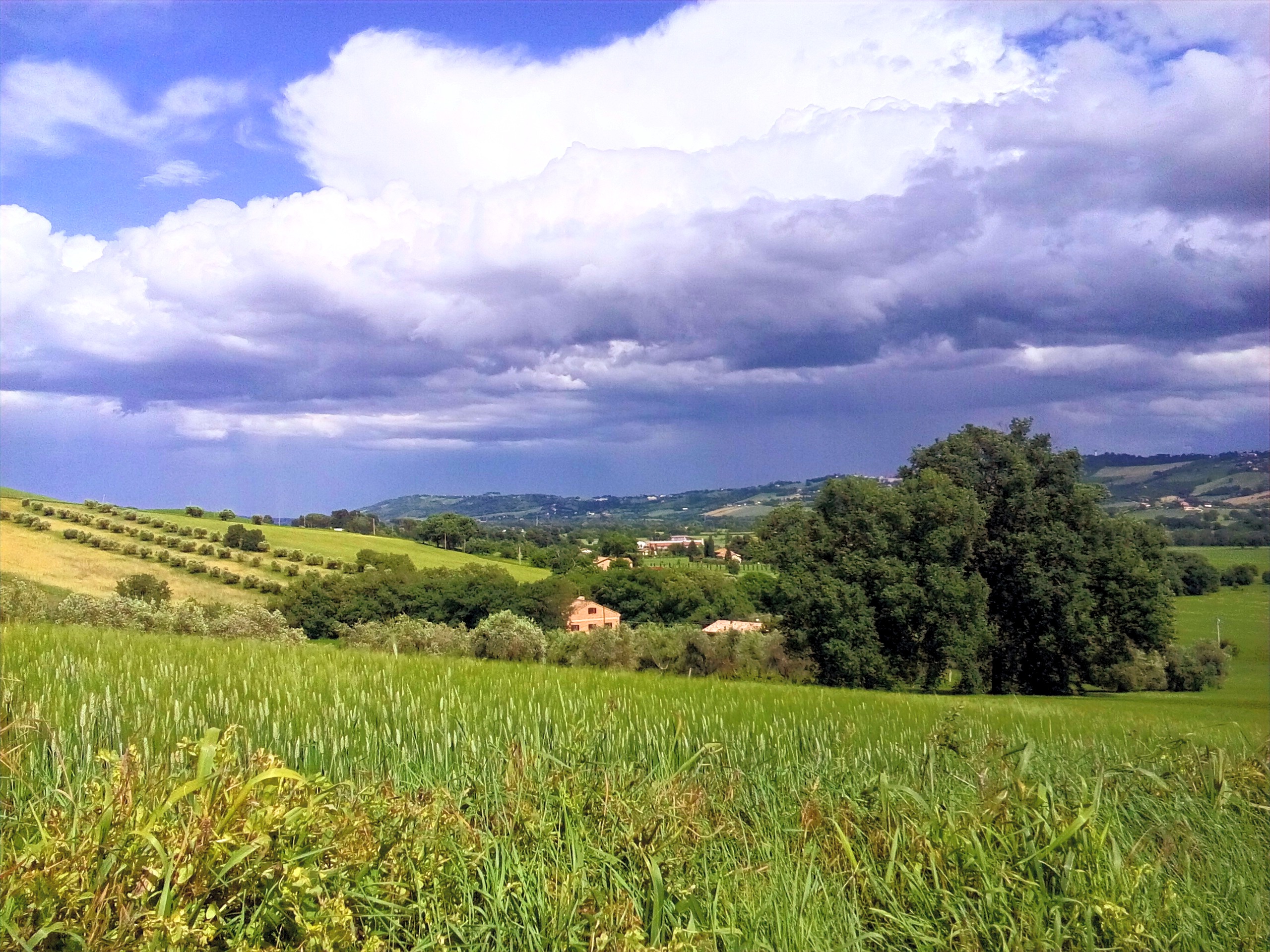 Agriturismo Forestale Luti - Treia - Le Marche foto 5