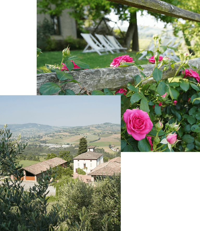 Agriturismo La Colombaia foto 3