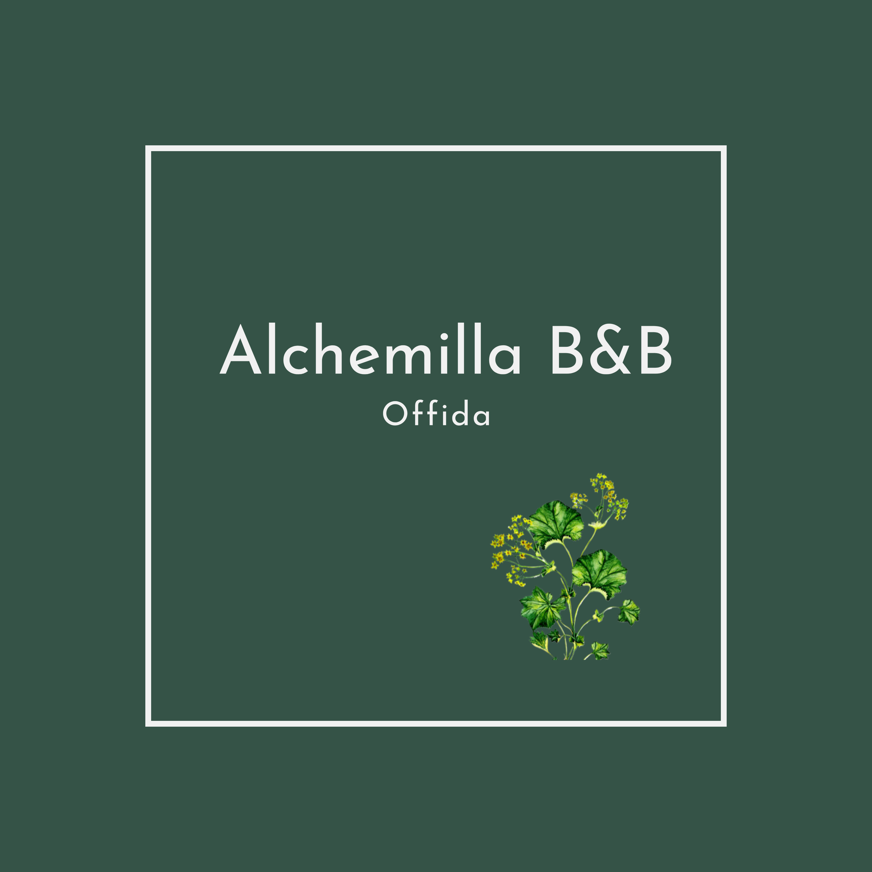 Alchemilla B&B Offida foto 3