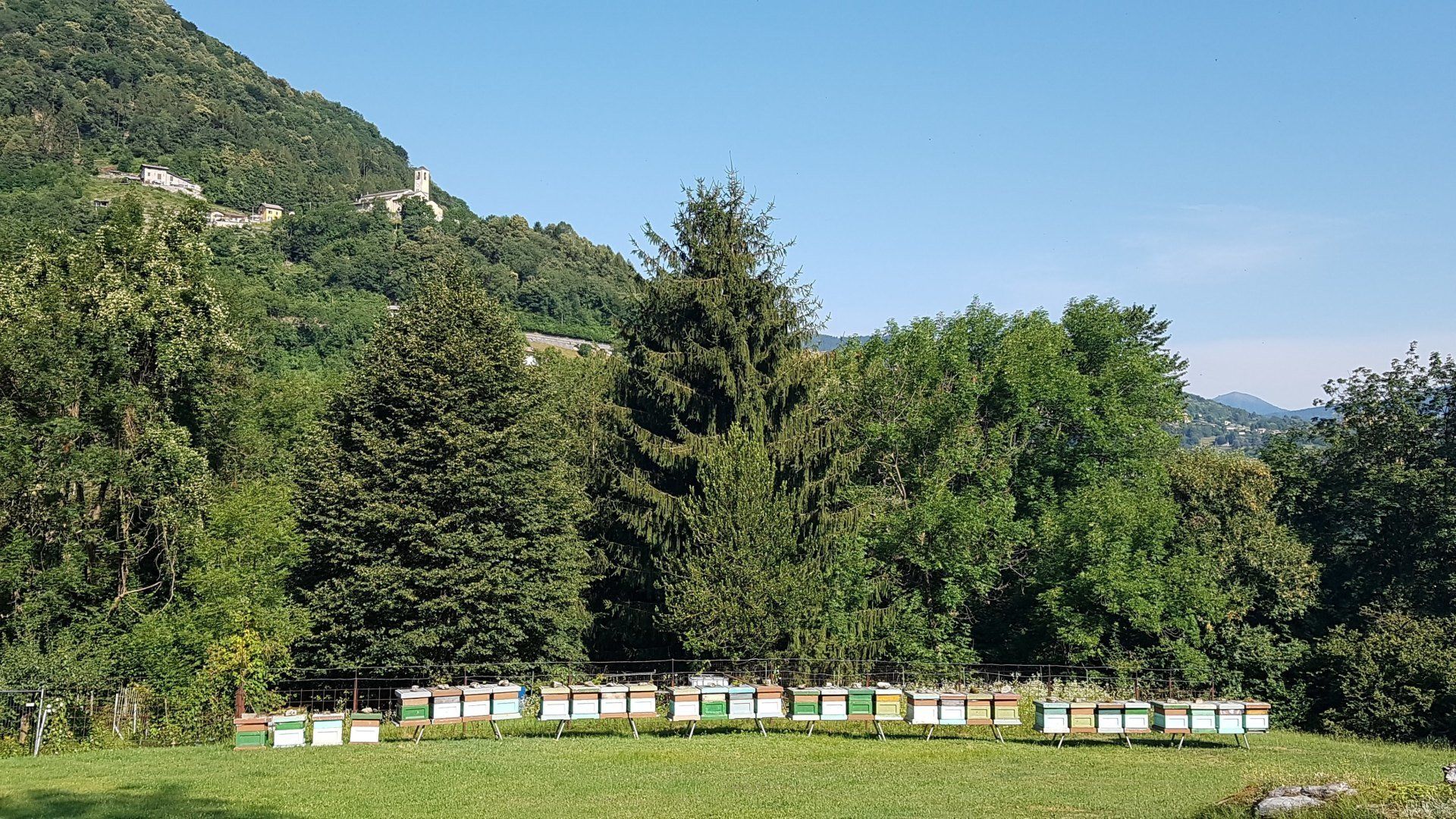 Baita Eleonora foto 4