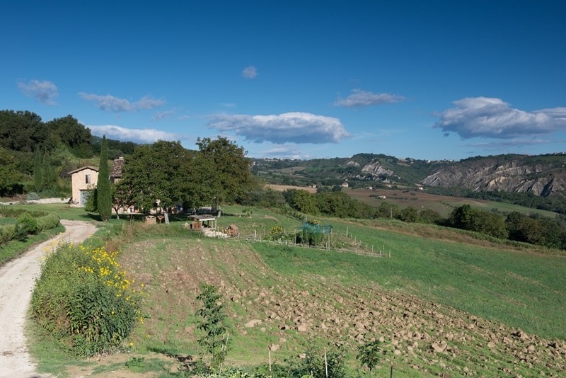 Società Agricola Zucchera S.S. foto 2