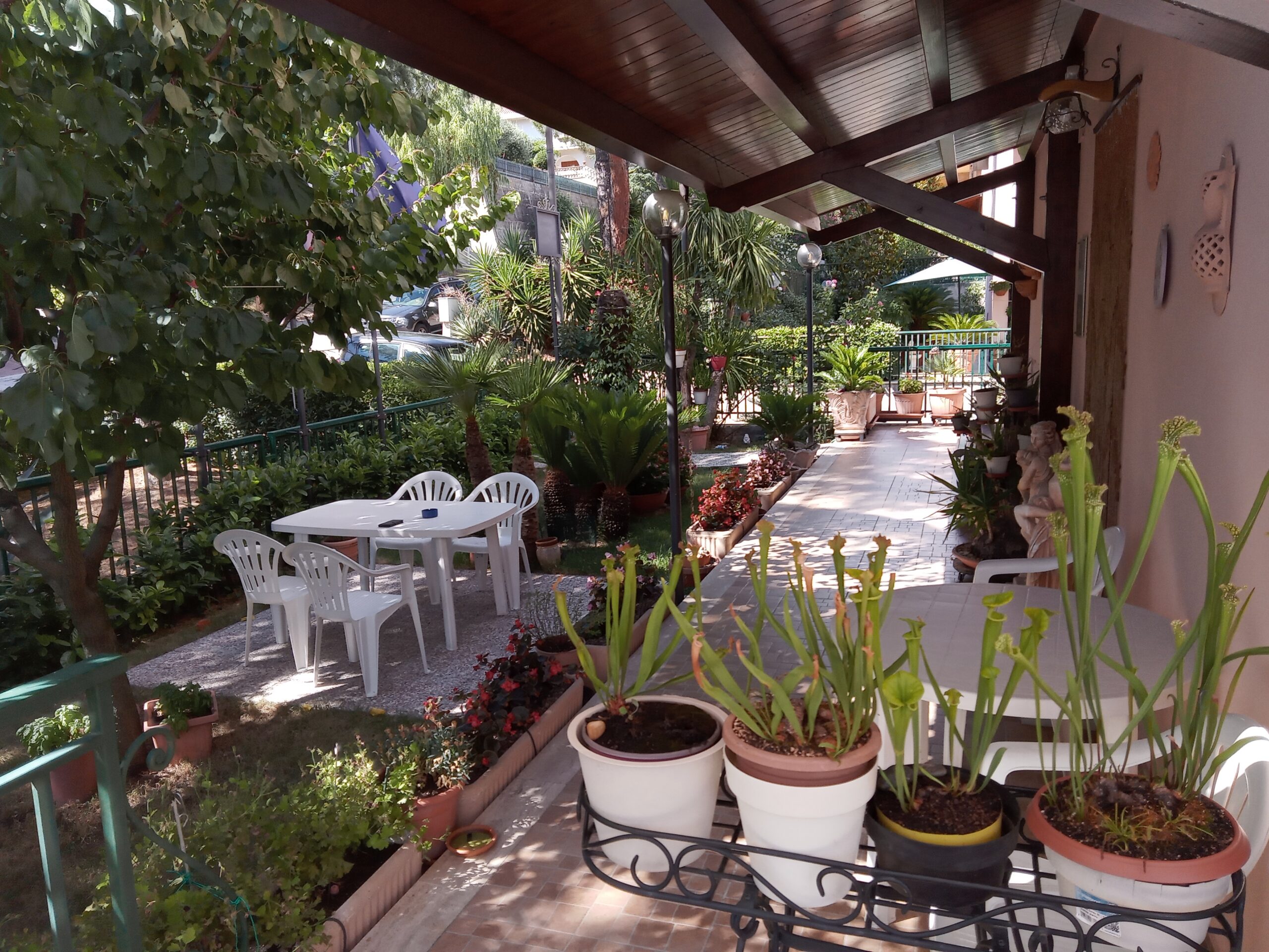 B&B Le Begonie foto 1