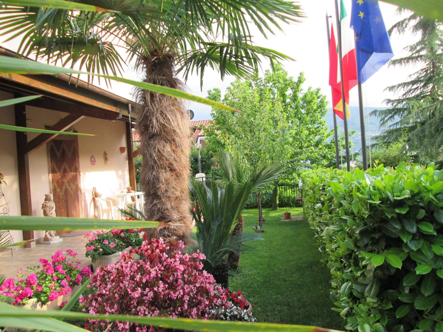 B&B Le Begonie foto 5