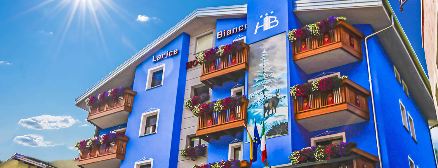 Hotel Larice Bianco foto 5