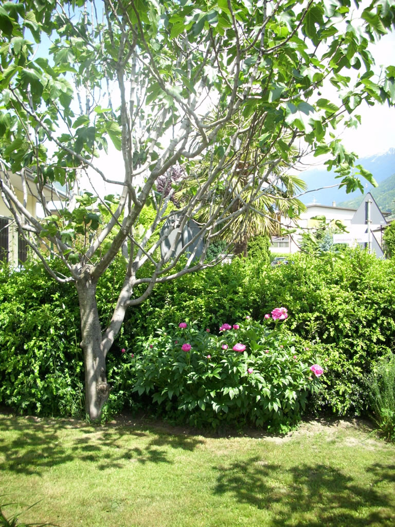 B&B PORTA 54 foto 3