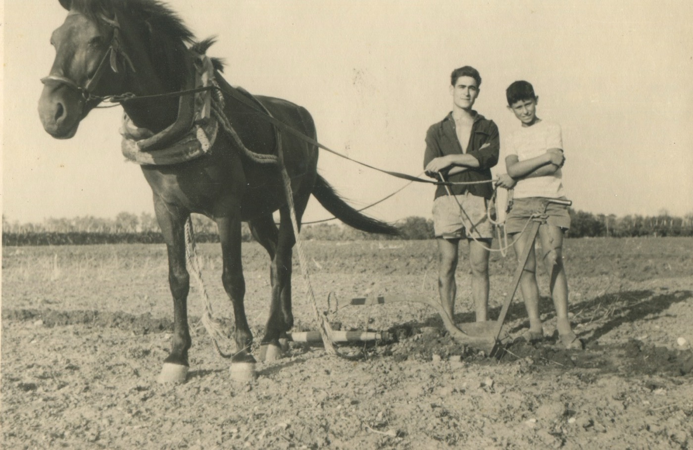 Agricola Piano foto 3