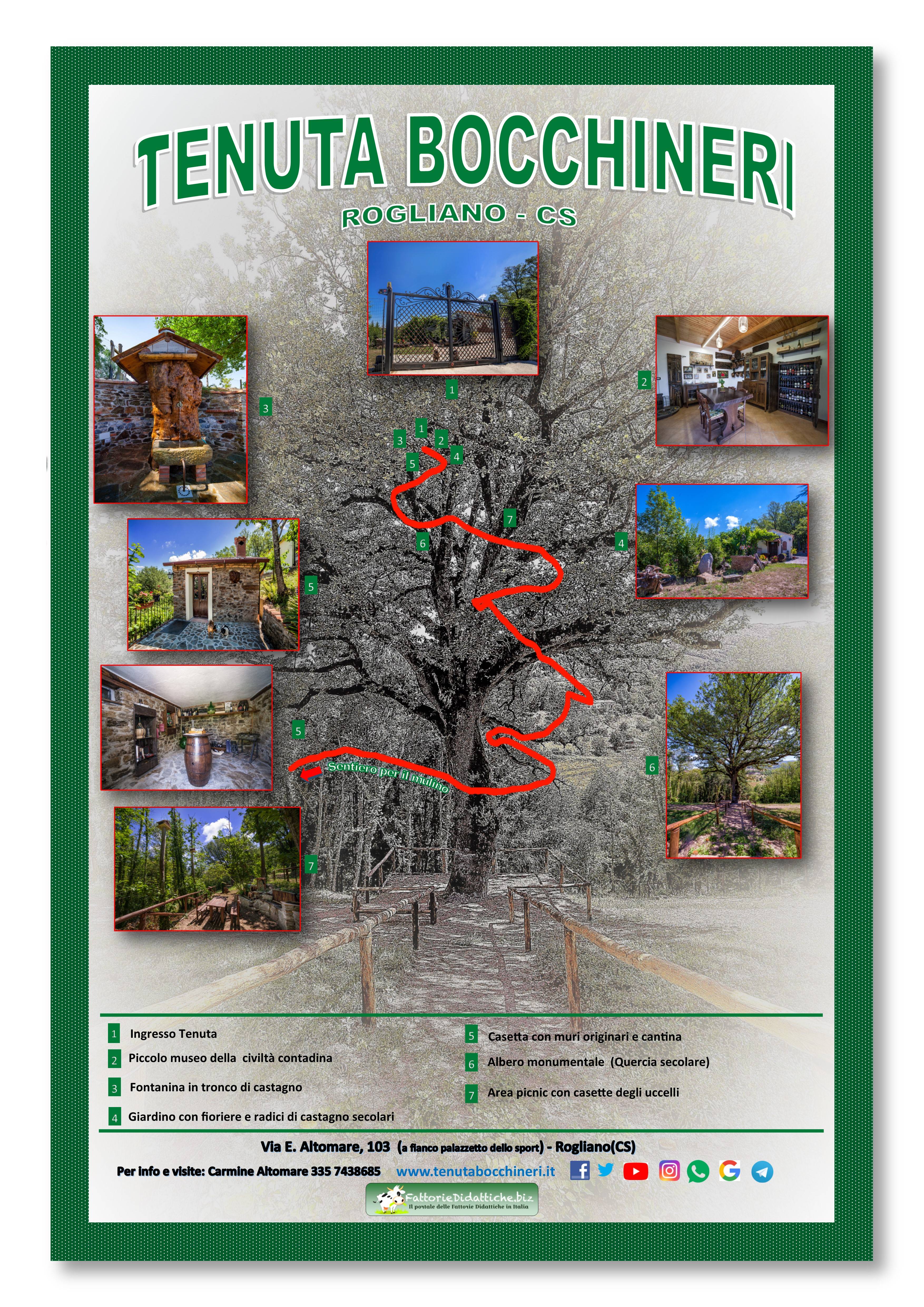 Casa sull'albero foto 1