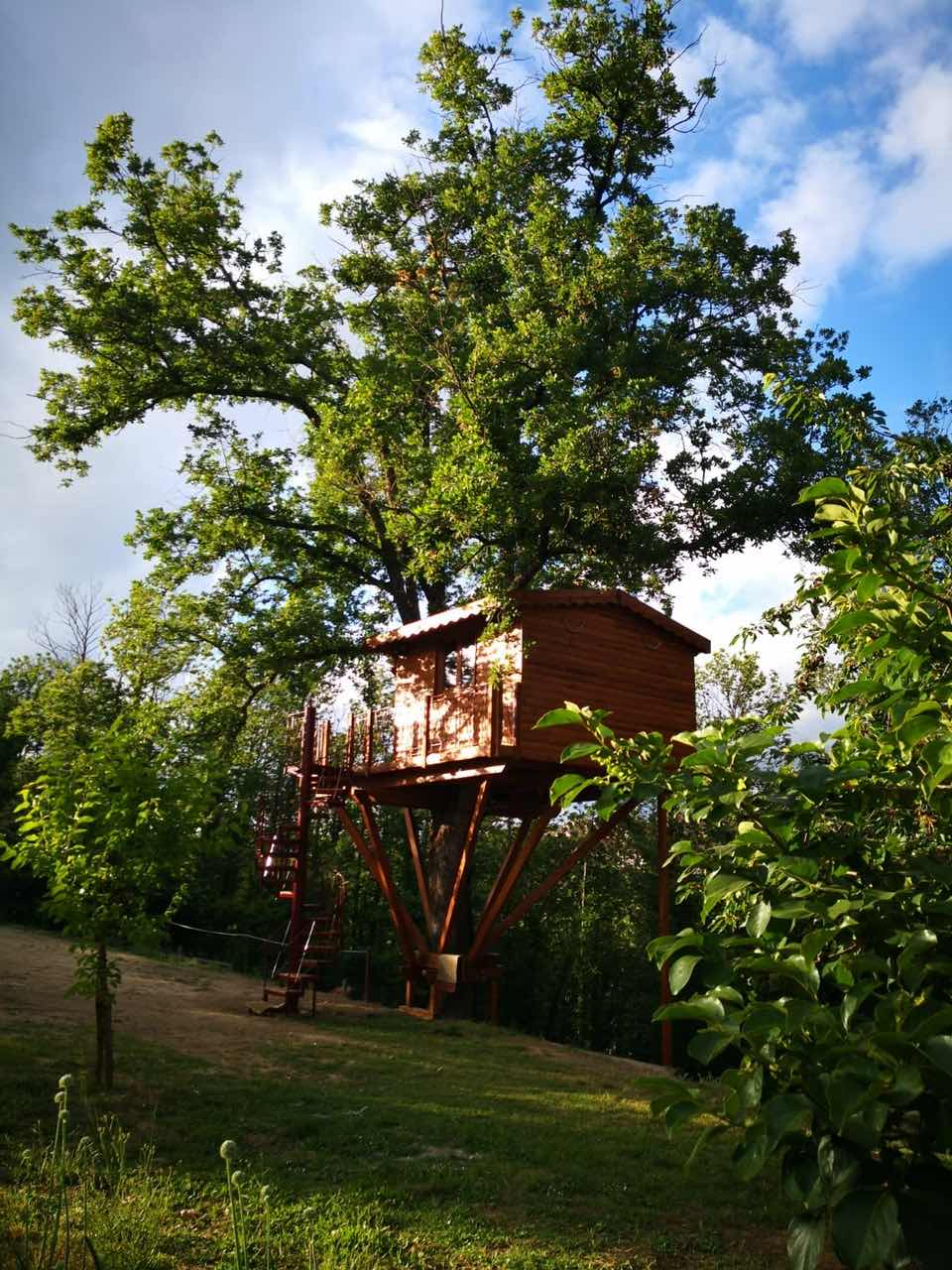 Casa sull'albero foto 5