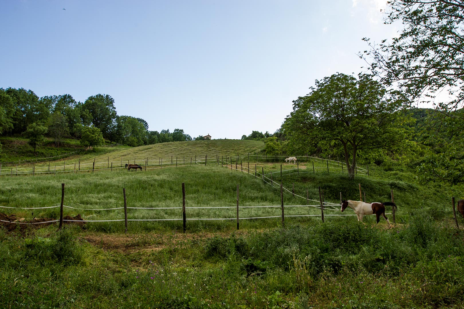 Agriturismo Borgo Serafino foto 5