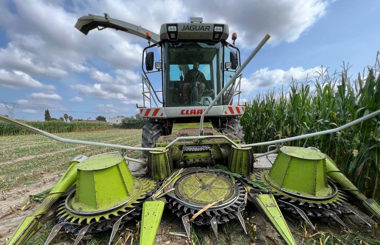 Azienda agricola La livrea Srl foto 6
