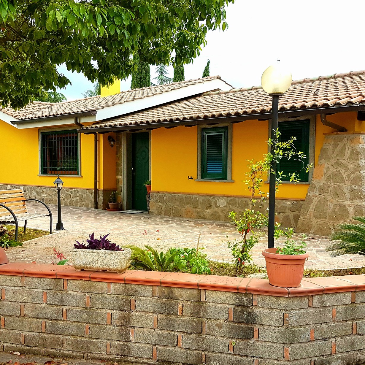 La Camelia foto 2