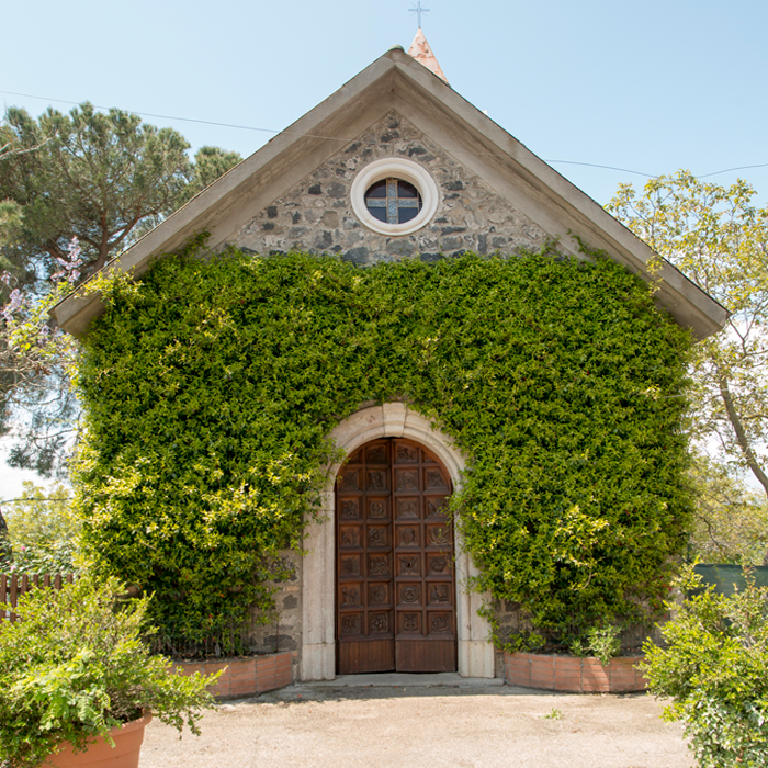 Agriturismo Villa delle Rose foto 6