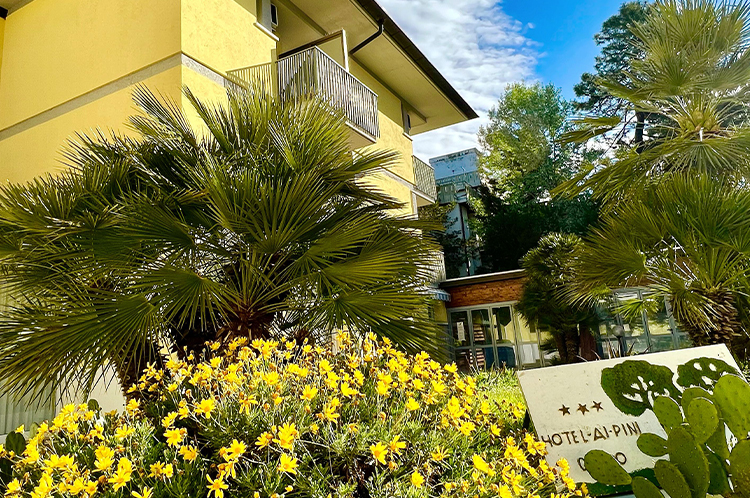 Hotel ai Pini foto 1