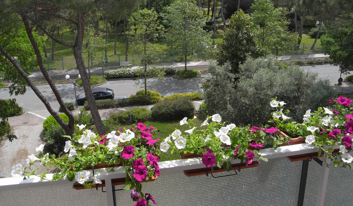 Hotel Moreri foto 6