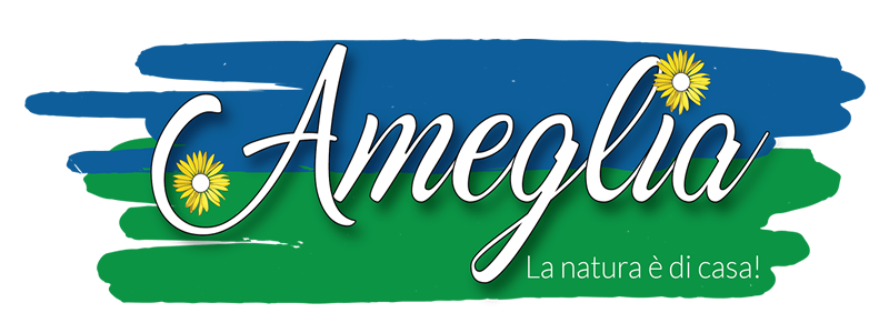 B&B Ameglia foto 1