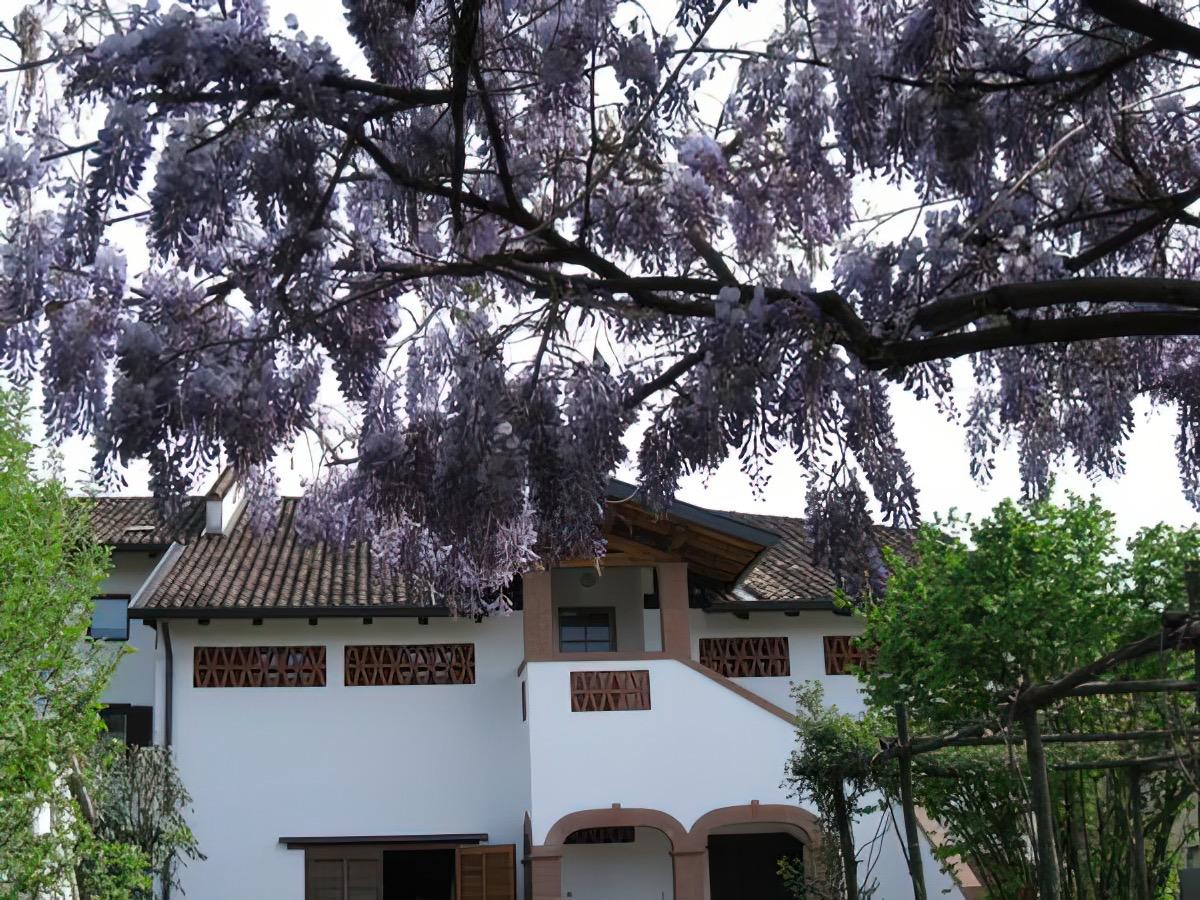 B&B Ai Glicini foto 1