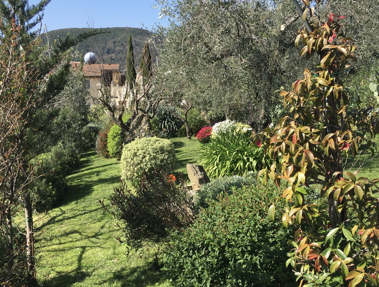 Agriturismo La Crosa foto 4