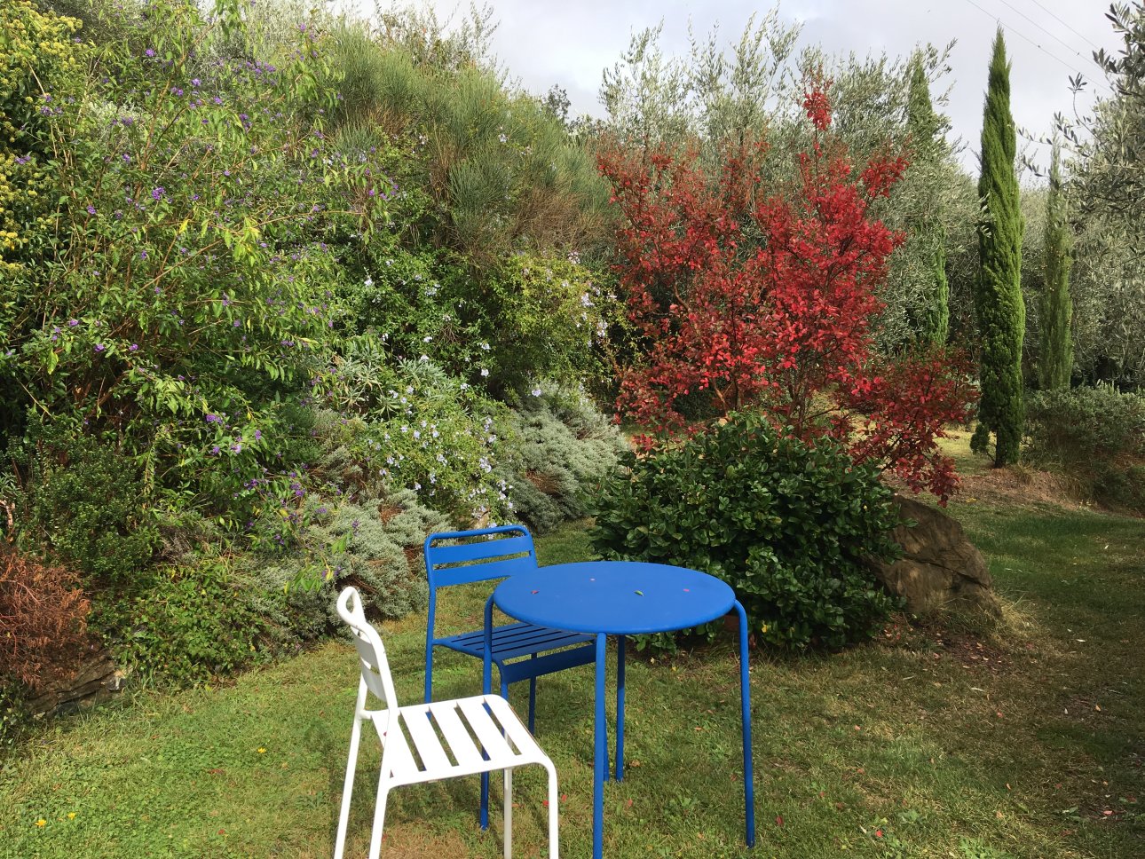 Agriturismo La Crosa foto 5