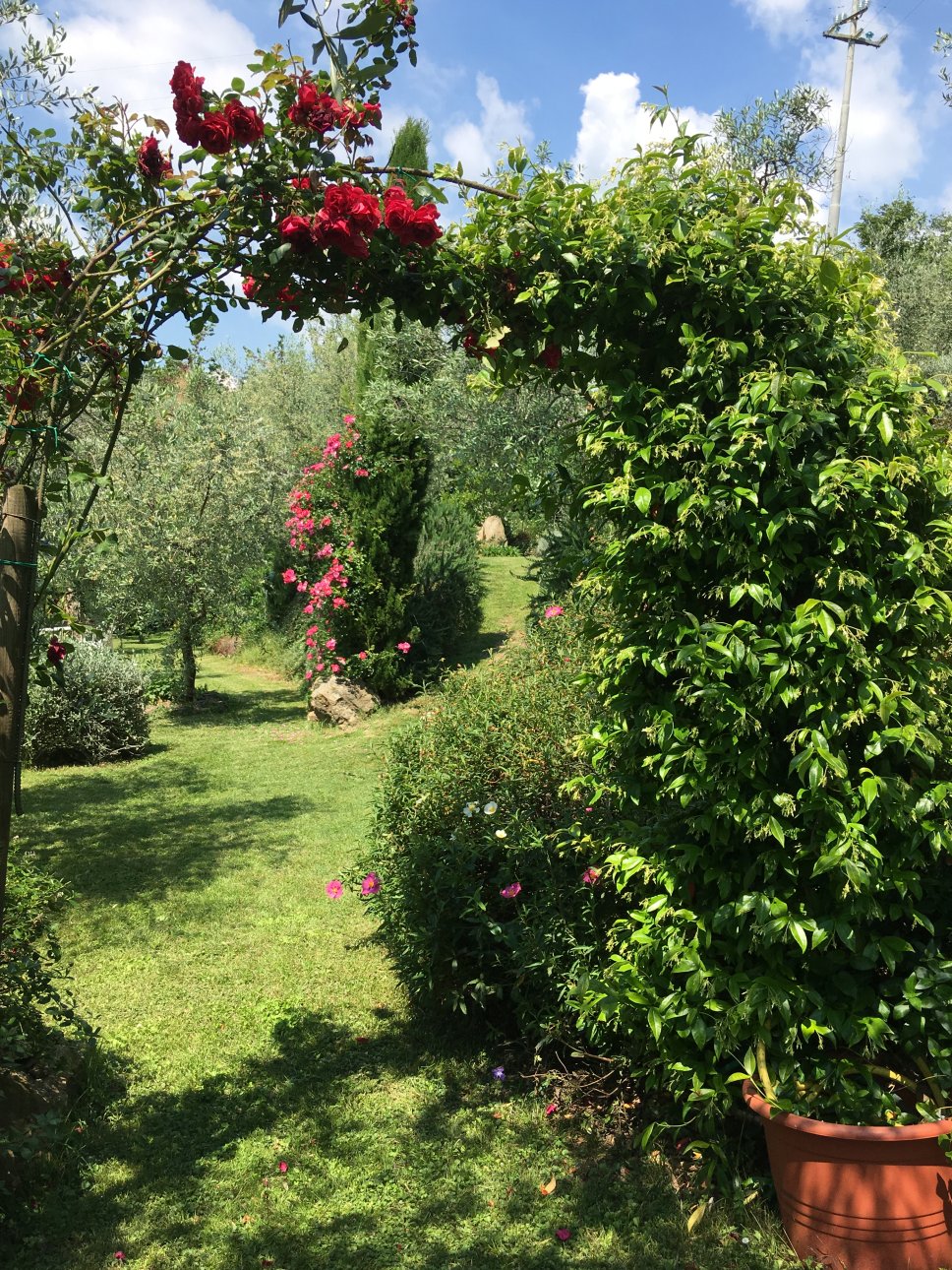 Agriturismo La Crosa foto 6
