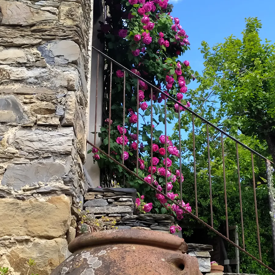 Agriturismo Cascina il Poggio foto 3