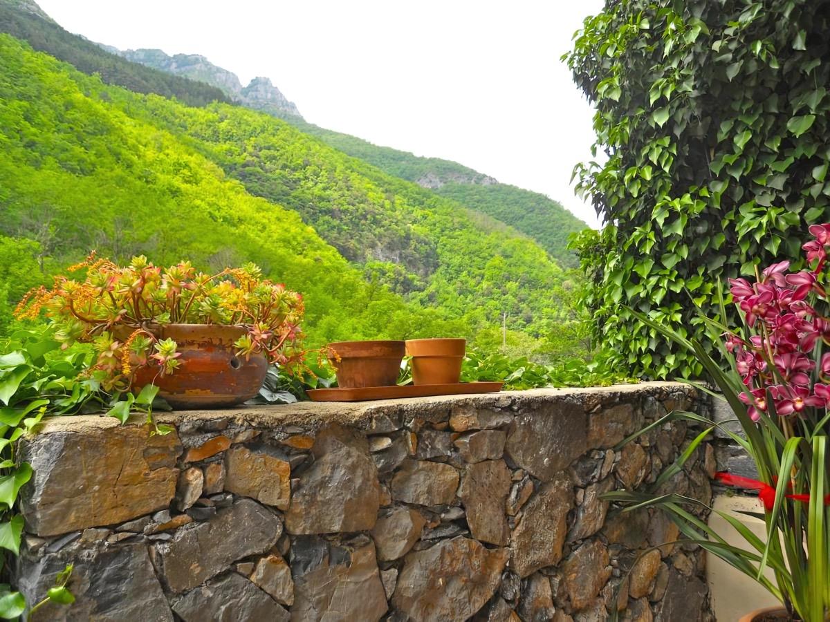 B&B Rossociliegia foto 6