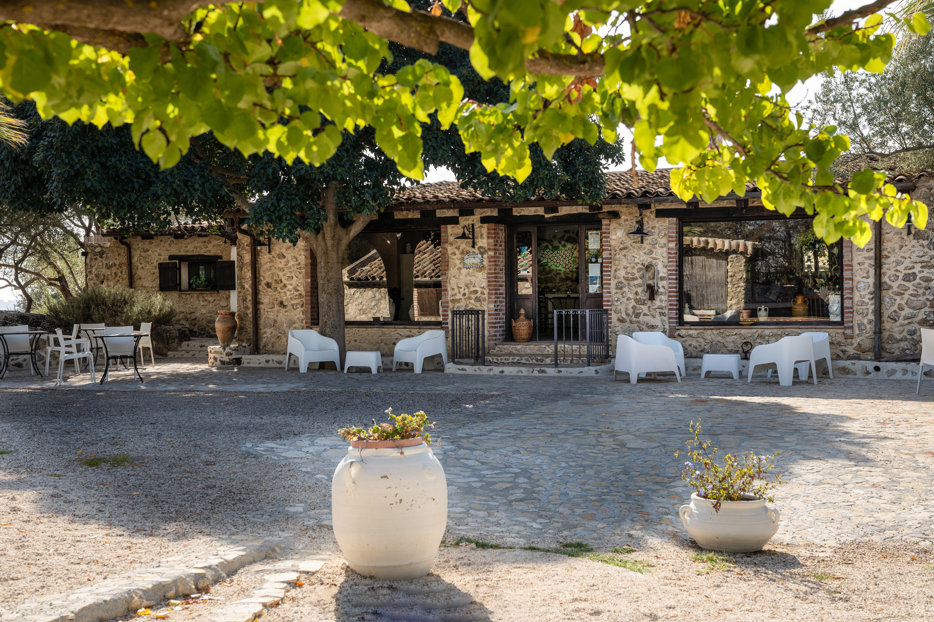 Bed And Breakfast Roba degli Ulivi foto 2
